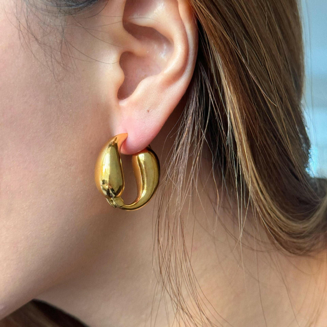 Dolphin Shaped Hoop earrings